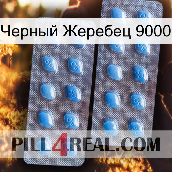 Черный Жеребец 9000 viagra4.jpg